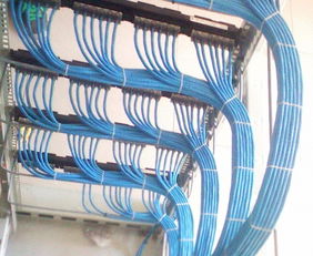 西湖區(qū)辦公室綜合布線指南 弱電、網(wǎng)線、強(qiáng)電與電話線的專業(yè)部署方案